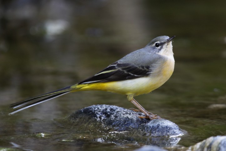 laguna-la-alpispa-thomas-berg