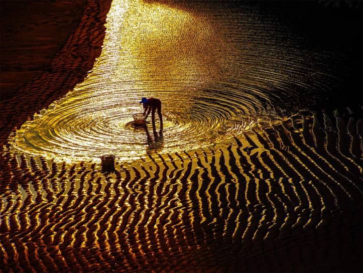 sobrevivir-en-ti-en-el-oro-de-la-tarde