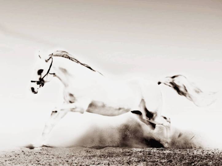 36634397_10214633969276697_8514471277874905088_n