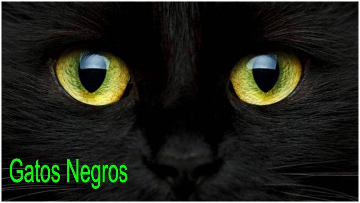 36869981_418579078640103_3729299311180120064_n