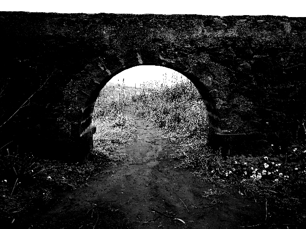 f1530022410816_resized_20180626_041422663