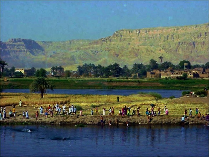 31_Vida_en_Nilo_121018