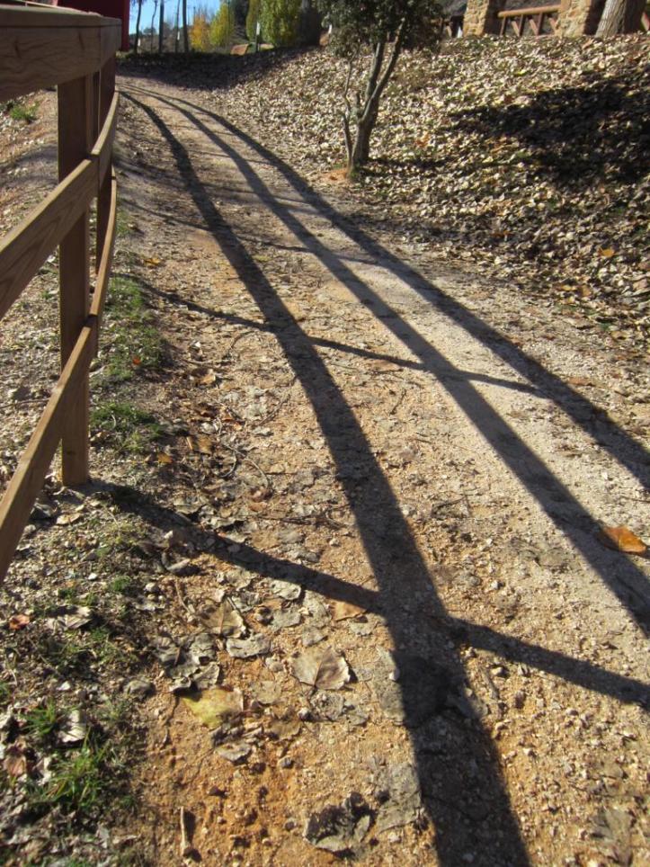 photo-2019-01-09-17-30-59