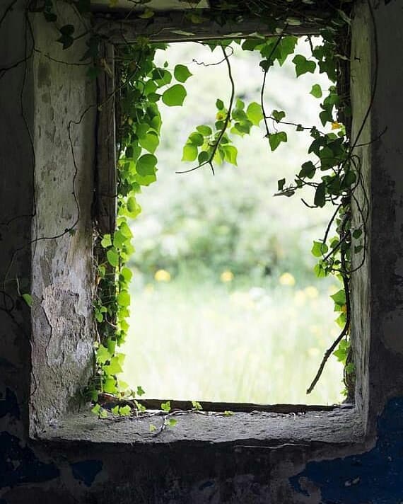 70559176_2582002931863076_3942479218348130304_n