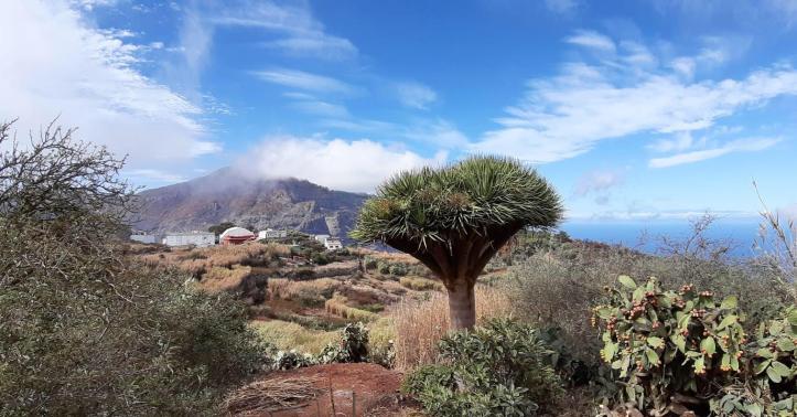 WhatsApp Image 2019-10-20 at 18.13.25