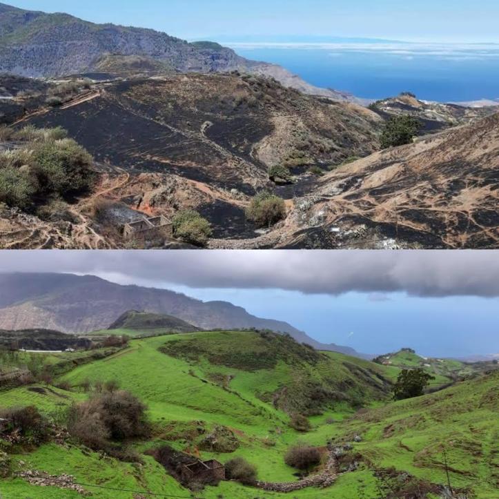 WhatsApp Image 2019-12-04 at 13.41.21 (1)