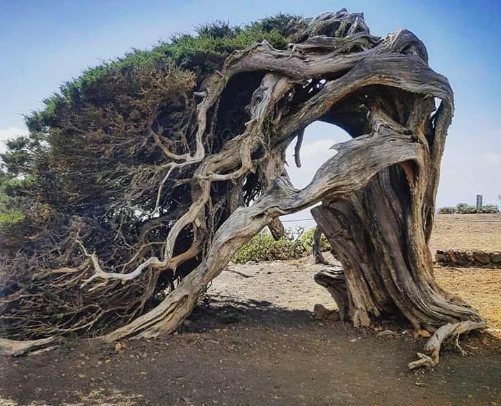 WhatsApp Image 2020-01-10 at 18.19.47