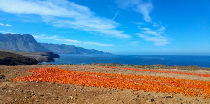 WhatsApp Image 2020-04-09 at 13.07.49